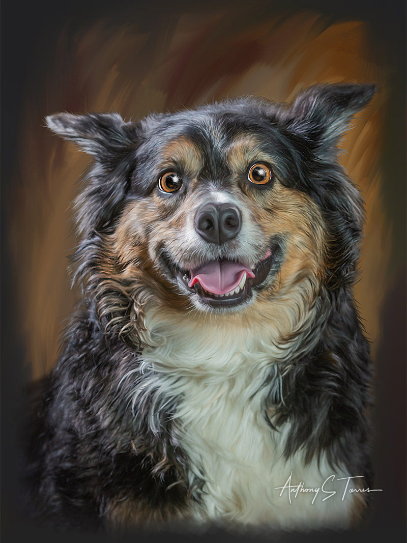 Pet portrait sessions in Wake Forest NC